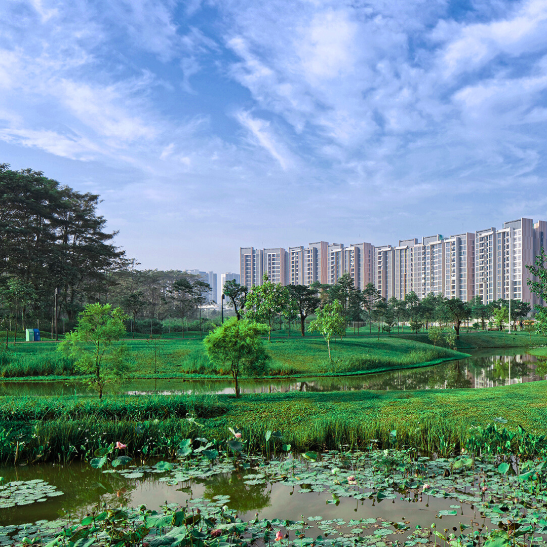 Untitled design.zip - 3